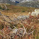Beautiful At Lifjell Perfectly Located For Hiking And Skiing With Sauna *
