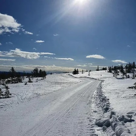 Beautiful At Lifjell Perfectly Located For Hiking And Skiing With Sauna Bo (Telemark)