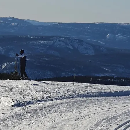 Beautiful At Lifjell Perfectly Located For Hiking And Skiing With Sauna * Bo (Telemark)