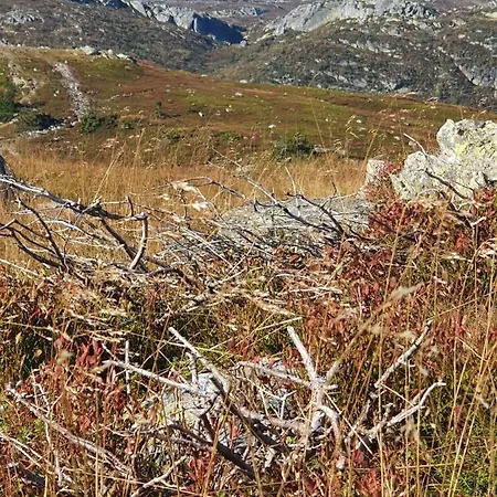 Beautiful At Lifjell Perfectly Located For Hiking And Skiing With Sauna *