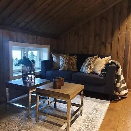 Beautiful At Lifjell Perfectly Located For Hiking And Skiing With Sauna * Bo (Telemark)
