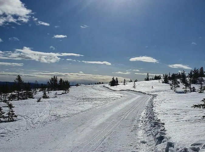 Beautiful At Lifjell Perfectly Located For Hiking And Skiing With Sauna Bo (Telemark)