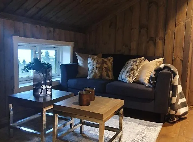 Beautiful At Lifjell Perfectly Located For Hiking And Skiing With Sauna * Bo (Telemark)