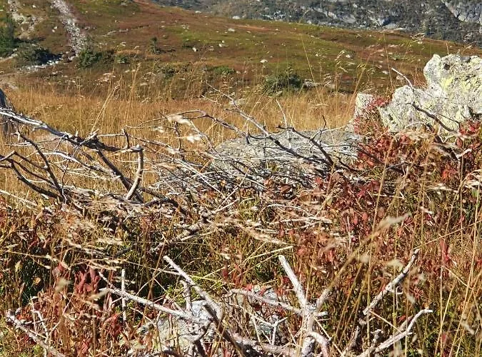 Beautiful At Lifjell Perfectly Located For Hiking And Skiing With Sauna *