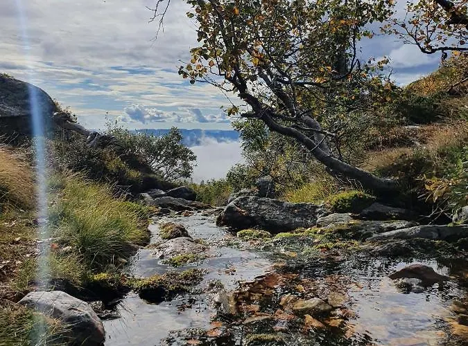Feriehus Beautiful At Lifjell Perfectly Located For Hiking And Skiing With Sauna Bo (Telemark)
