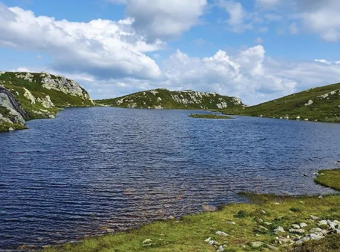 Feriehus Beautiful At Lifjell Perfectly Located For Hiking And Skiing With Sauna *